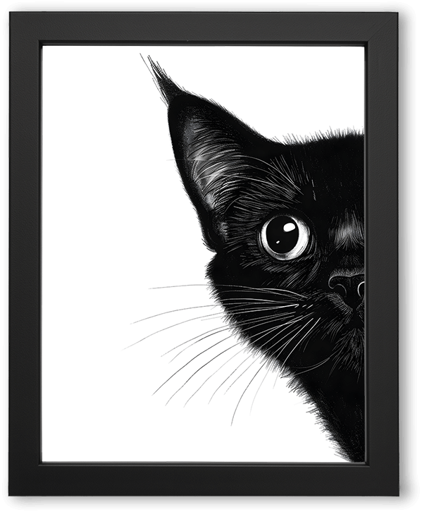 A high-contrast, minimalist illustration of a black cat, partially cropped, with one wide, glossy eye, fine whiskers, and textured fur emerging from a stark white background, emphasizing mystery, elegance, and negative space.