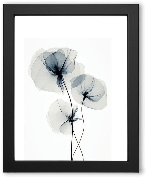 Three translucent, overlapping flowers float against a white background, their delicate petals rendered in soft gray-blue tones. Thin, winding stems create gentle movement, giving the composition a light, airy, and ethereal botanical feel.