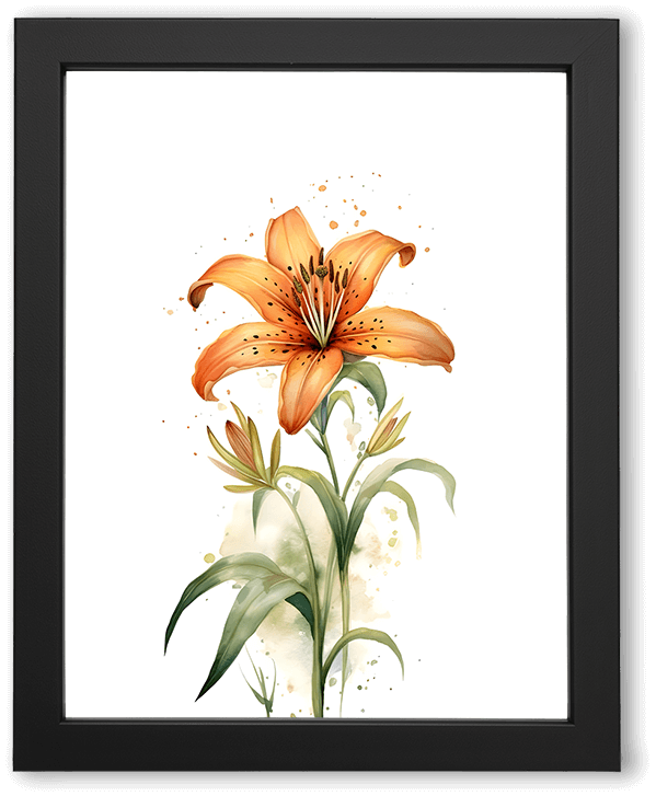 Orange Lily Flower with Green Stem